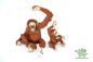 Preview: Orang-Utan Bundle 14775 + 14776